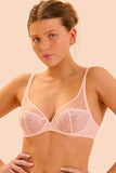 Delice Full Cup Plunge Bra - Genevieve's Wardrobe
