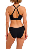 Quinn Brief