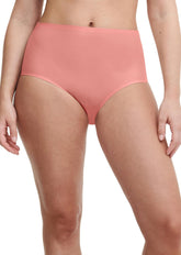 SoftStretch Plus Full Brief (XL-4XL) - Genevieve's Wardrobe