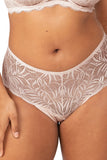 Essential Lace Maxi Brief